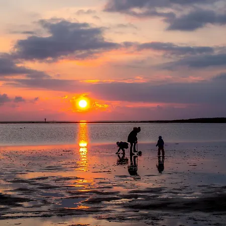 Ferienhaus Mellumplate 10 *